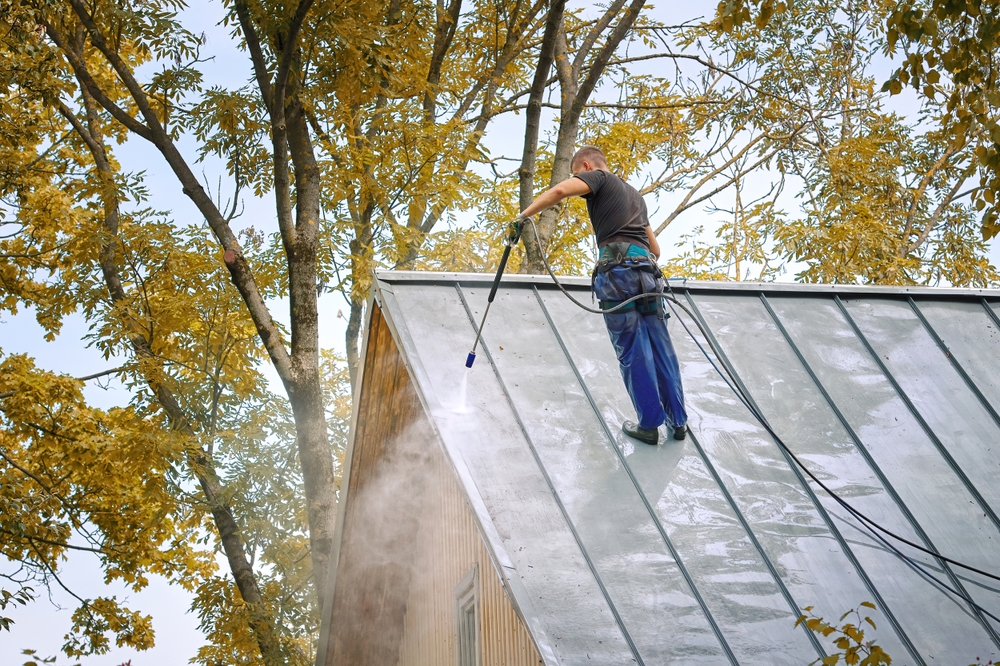 Roof Cleaning in Collinswood Beaumont